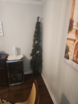 Corner Tree In Pot
