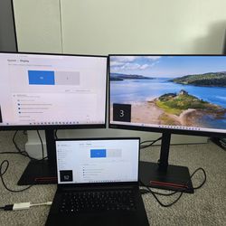 Lenovo 24 inch Monitors (2)