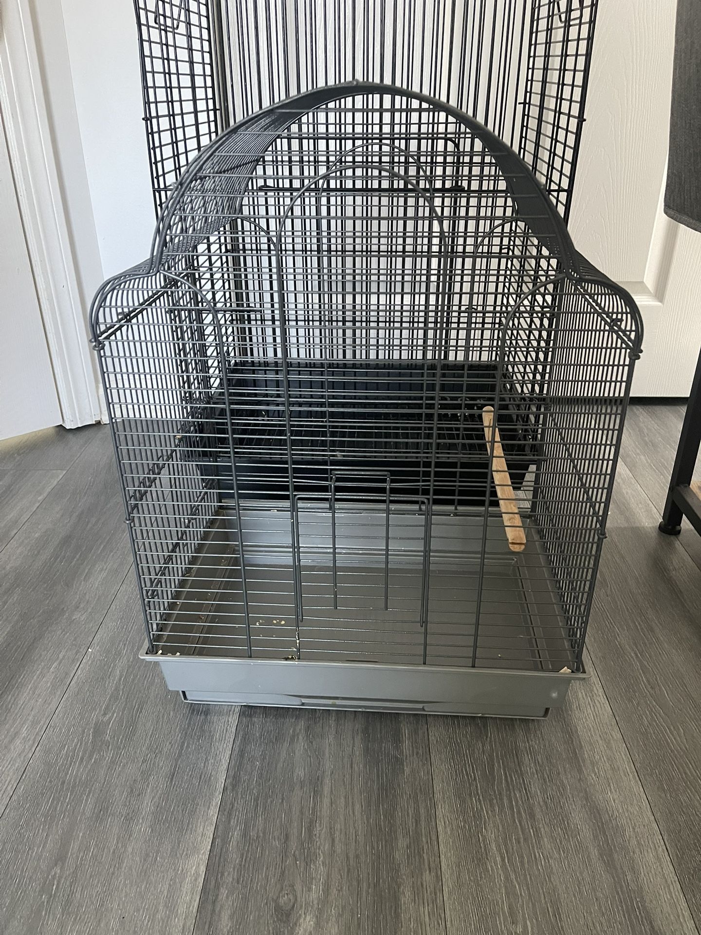 Bird Cage