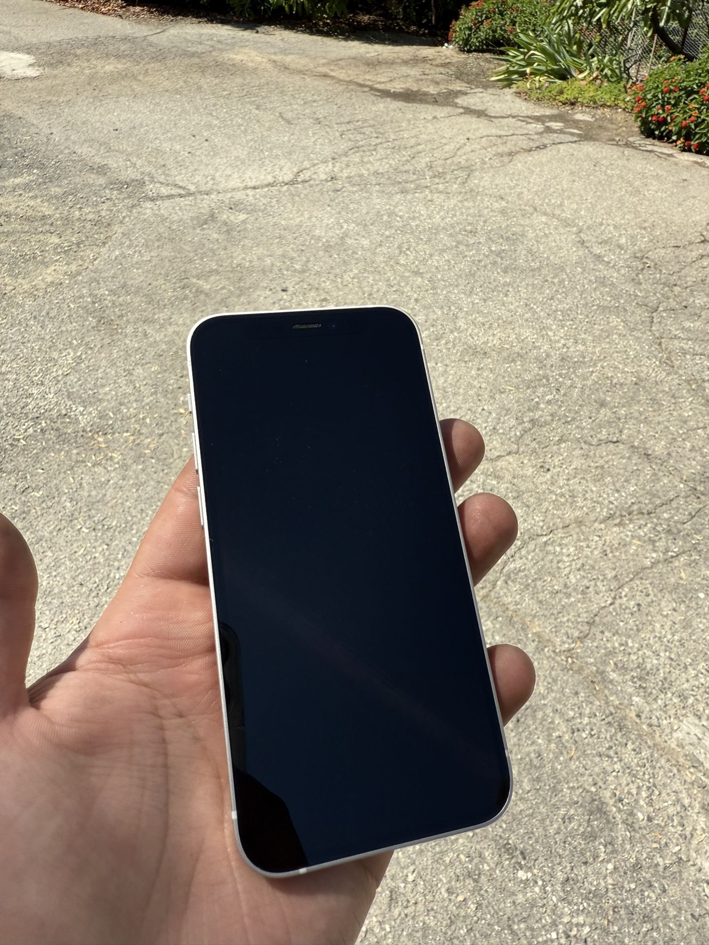 iPhone 12 mini