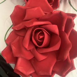 Roses