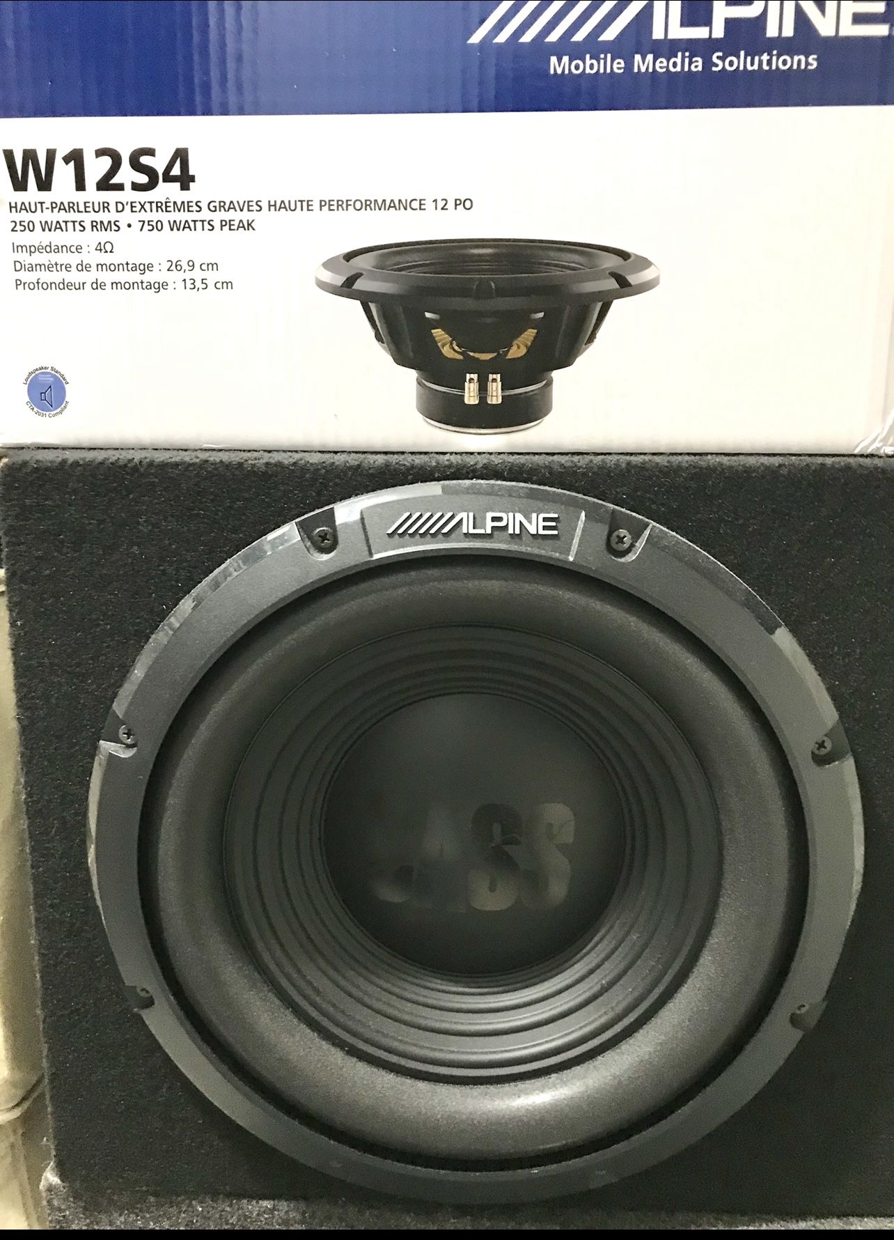 12in Subwoofer 