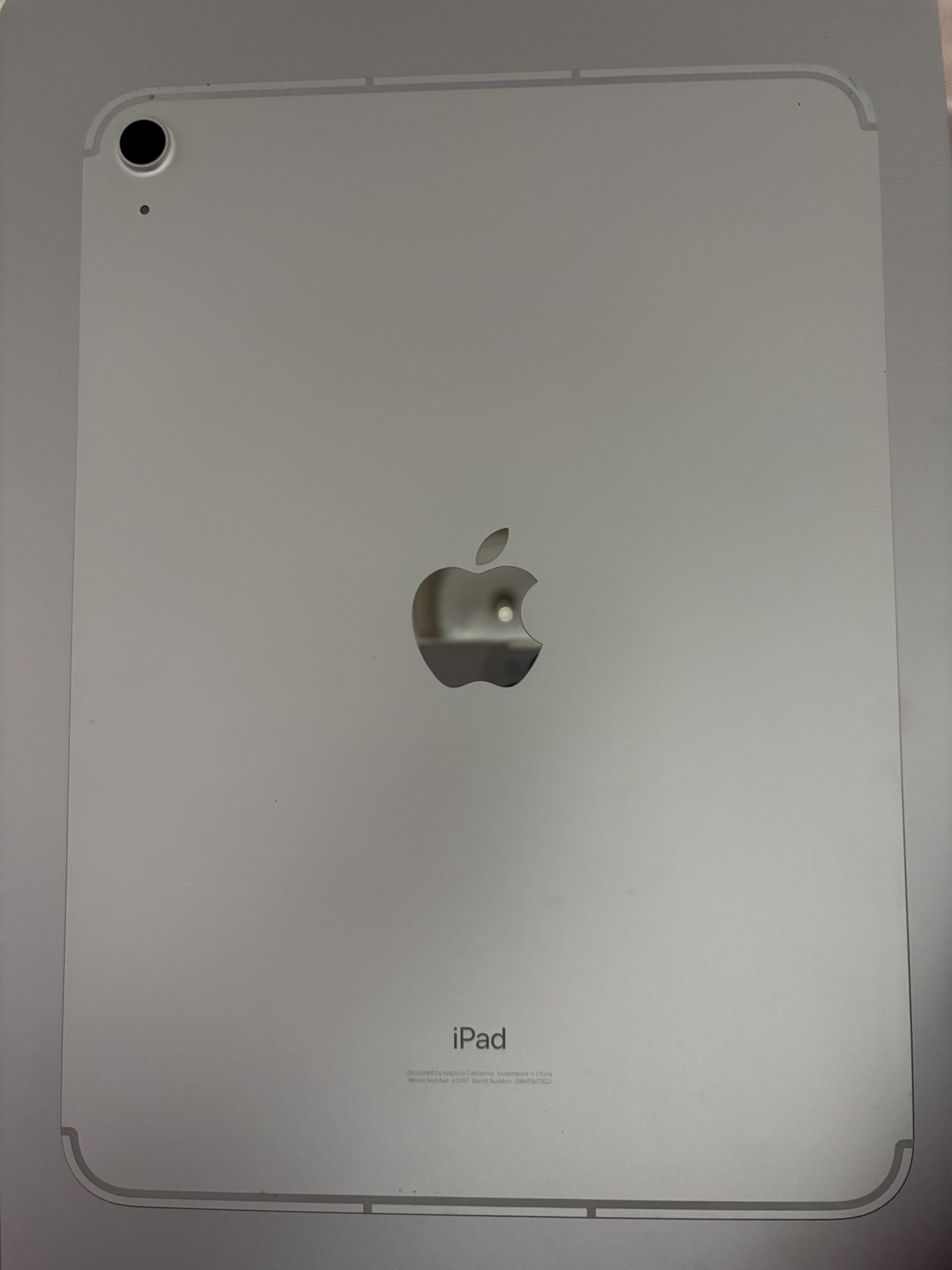Silver Ipad 10th Generation with Apple Pencil and Case Included