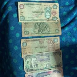 Jaima Currency 100,50,20,5,1,2