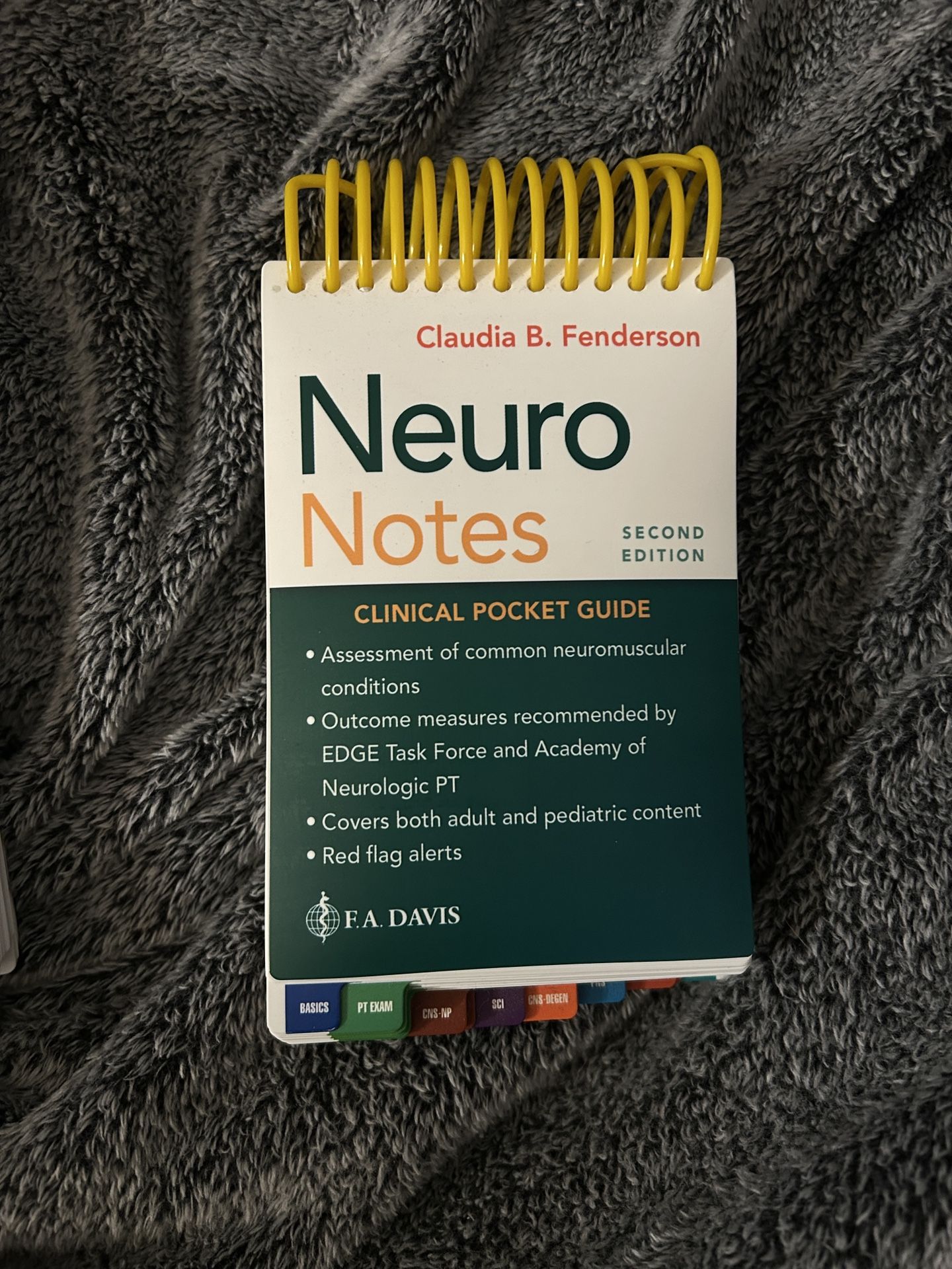 Neuro Notes: Clinical Pocket Guide 2nd Edition 