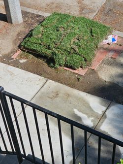 Marathon 2 sod FREE