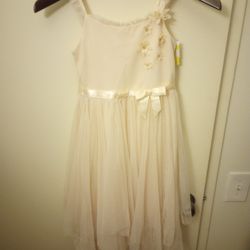 Girl Dress Size 6/6x