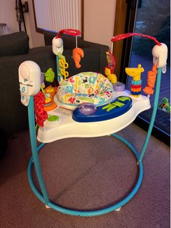 Fischer Price Bouncer/Activity Station