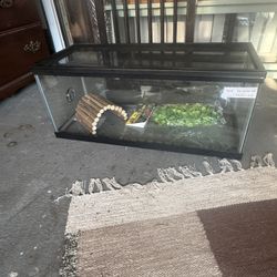 20 Gallon Tortoise/ Reptile Tank