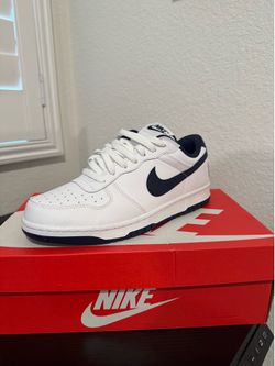 Big Nike Lows
