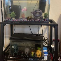 10 & 5 Gallon Fish Tanks with metal stand, equipment, & accessories