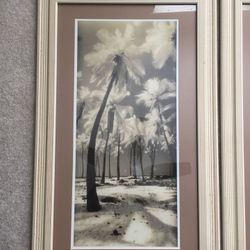 Palm Shadows framework