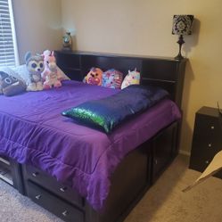 Iron Acton 6 Drawer Solid Wood Daybed with Bookcase By Viv + Rae