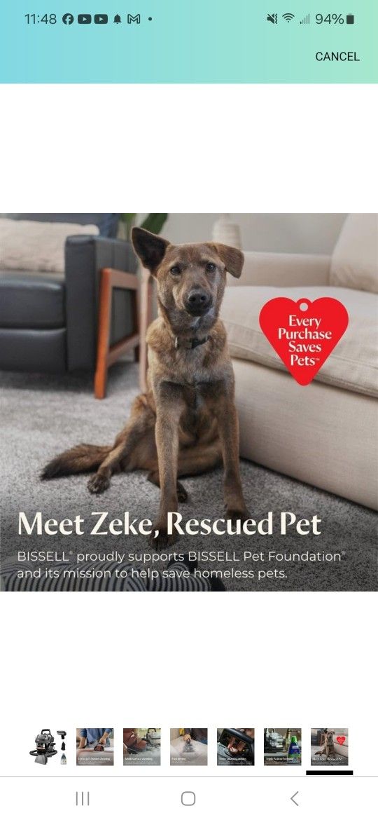 BISSELL Little Green HydroSteam Multi-Purpose Portable Carpet and Upholstery Cleaner, Car and Auto Detailer, 3618