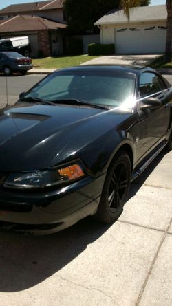 Year 2000 mustang v6 3.8L