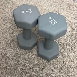 12 lb Dumbbells (Pair) – Like New