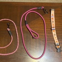 2 Dog Leashes & Collar 