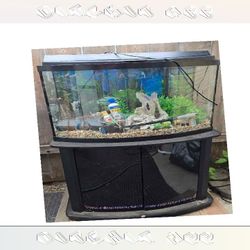 service people Fully-Loaded Aquarium Set - Dive into Underwater Beauty