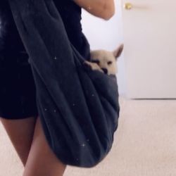 Pet Sling Carrier