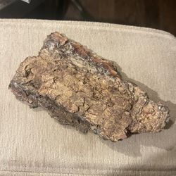 Tree Bark