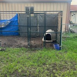 Dog Kennel