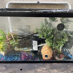 Free Aquarium 