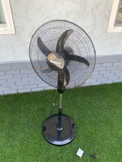 holmes pedestal fan