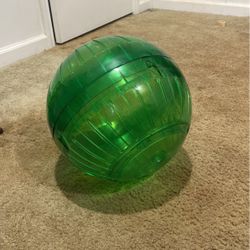 Bunny Rolling Ball