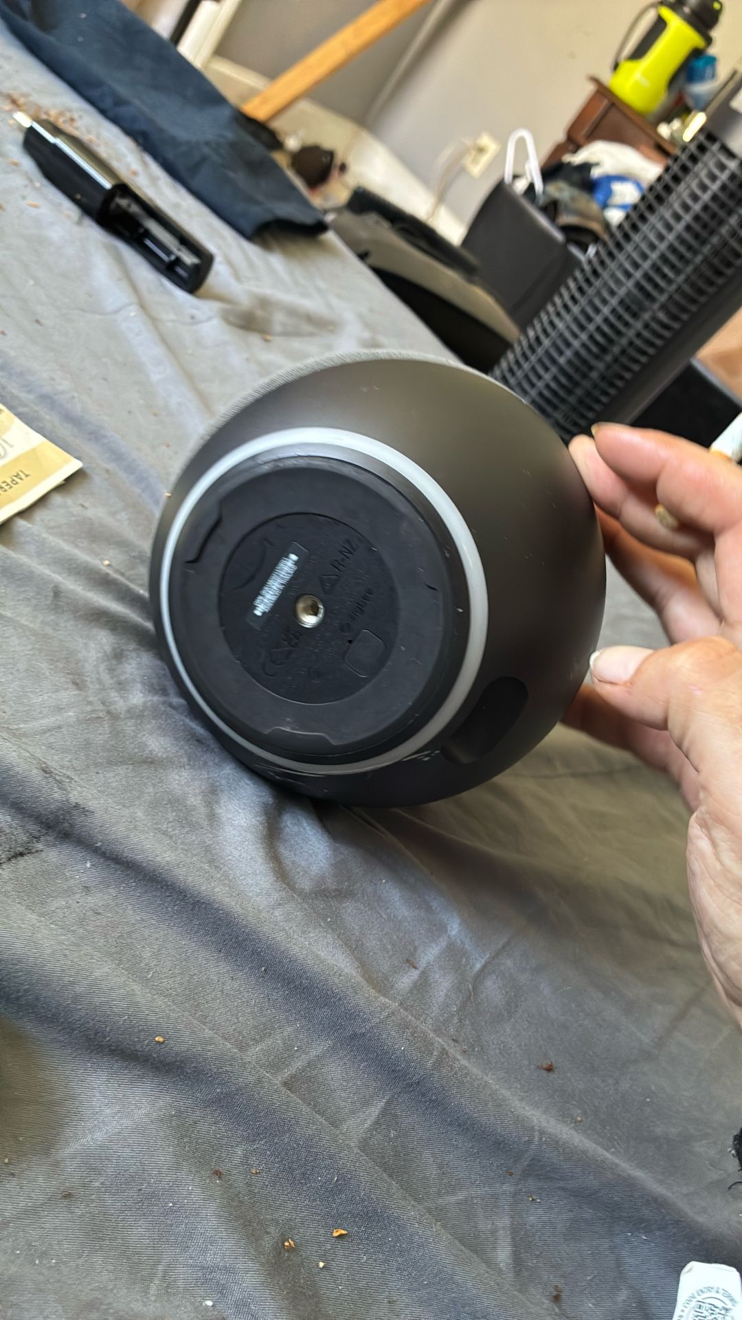 Amazon Echo With Bigspee 