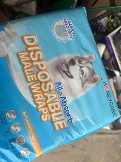 Dog diapers