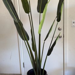 Faux Bird of Paradise Plant With Planter 
