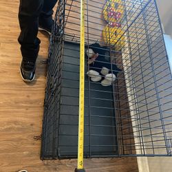 dog cage