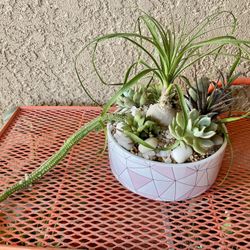 Cute Pink Planter 😍