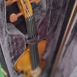 Violin