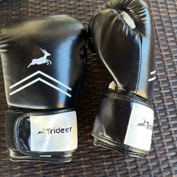 Boxing Gloves Like New