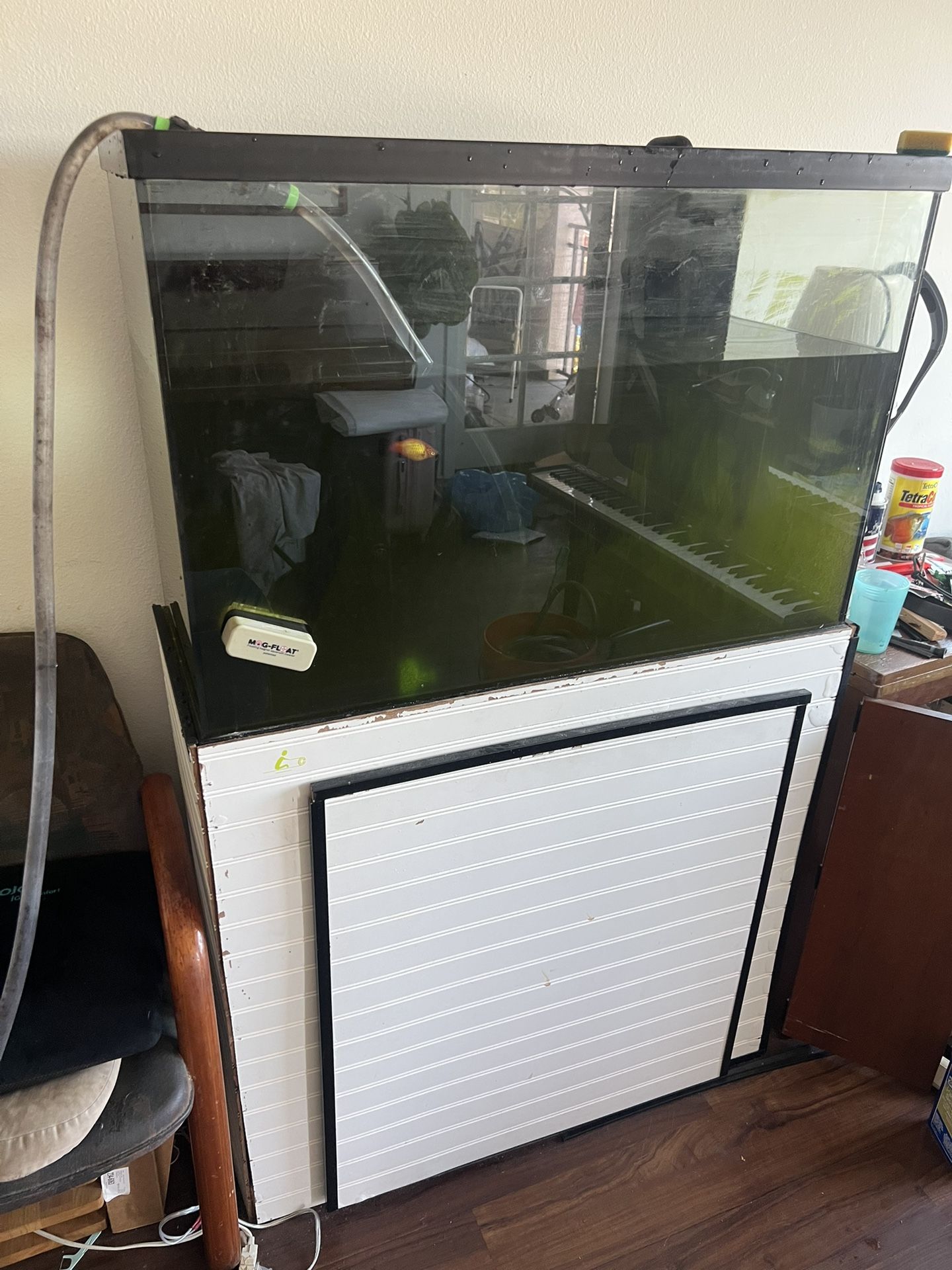 Aquarium, 58 Gallon Set Up, Filters, Sump, Media, Pumps