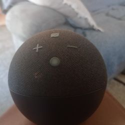 Alexa Generation 5