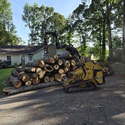 Tree Work