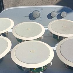 Bose Surround Sound Ceiling Speakers 