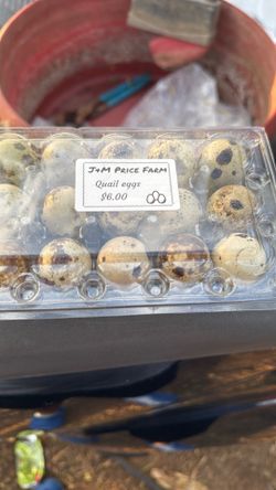 Quail eggs and quails for sale