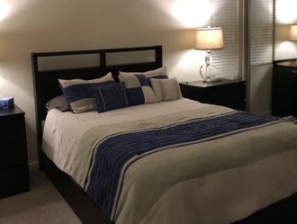 Queen platform bed frame