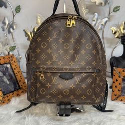 Pre-owned Louis Vuitton Palm Springs MM Monogram Canvas