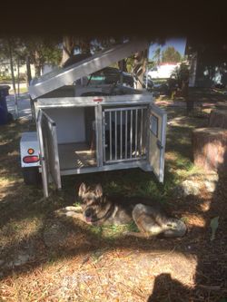 3 hole dog trailer for serious dog lover