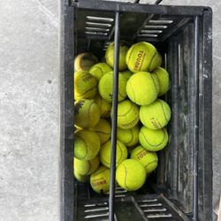 Tennis Balls With Crate