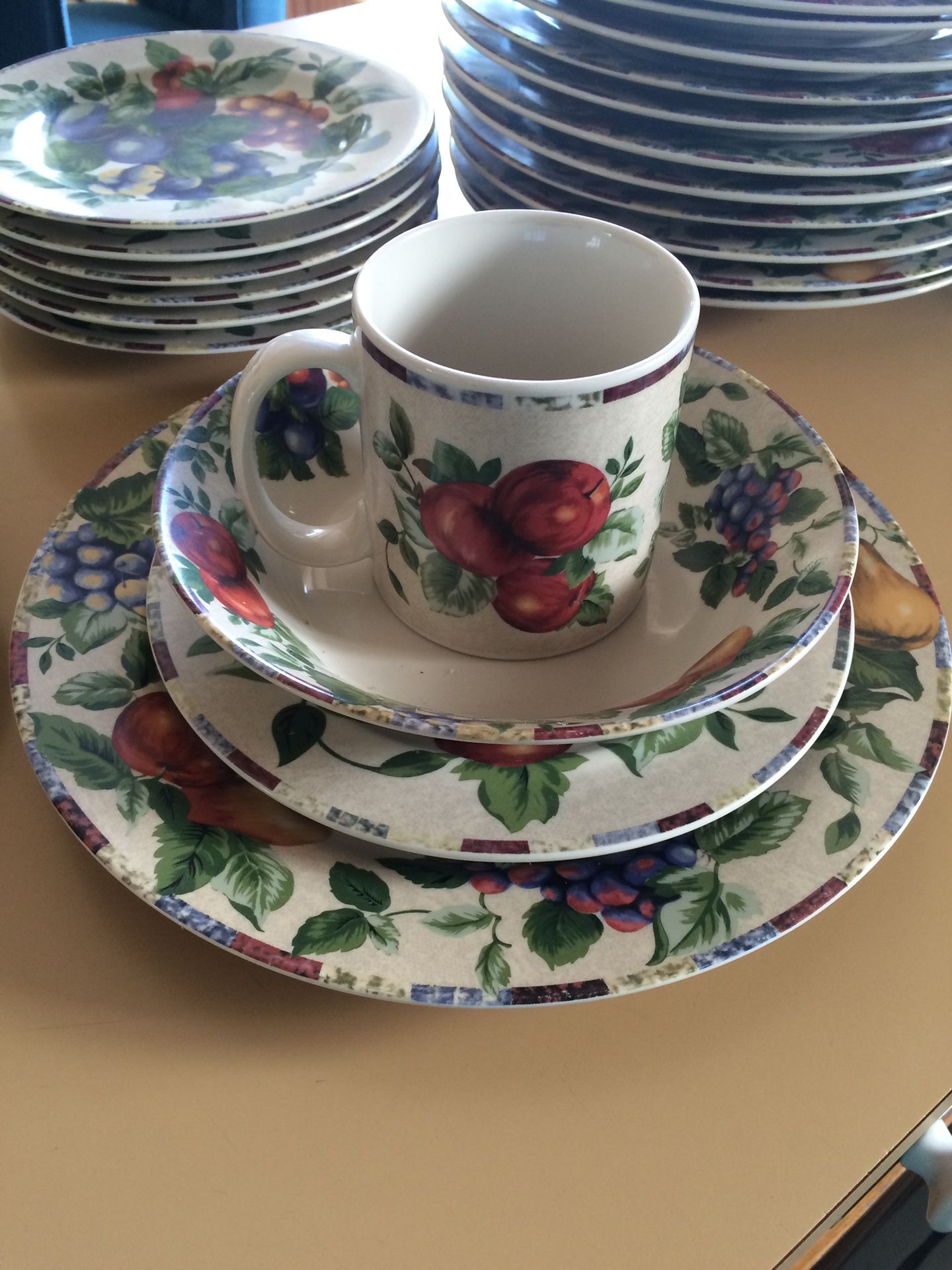Sakura Oneida EXCELL Dinnerware