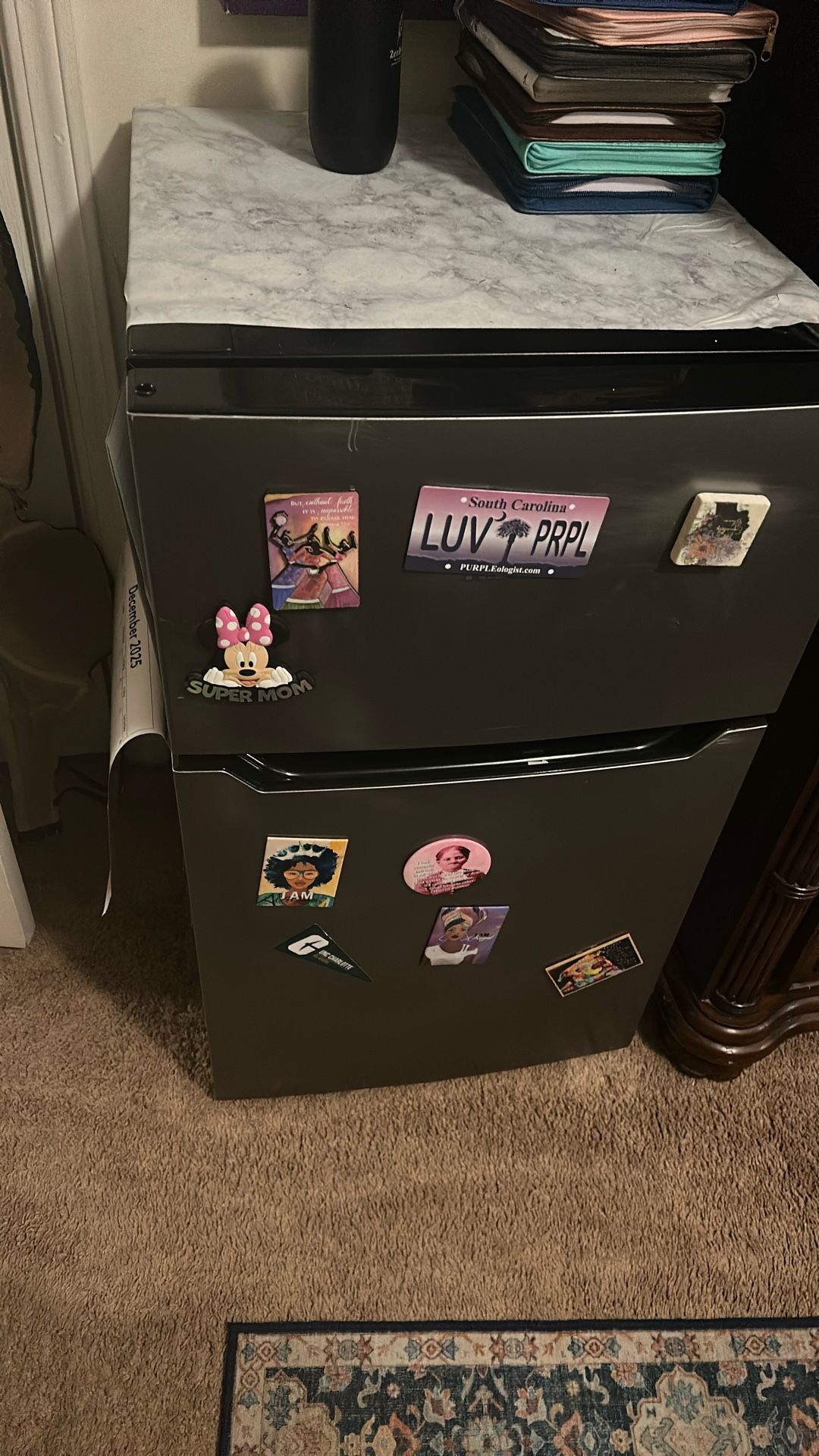 Mini Fridge