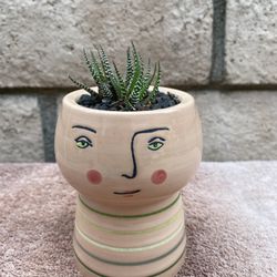 Opal house Face Planter Pot With Succulents.