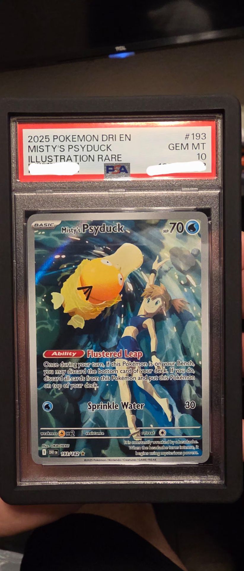 OBO pokemon slabs