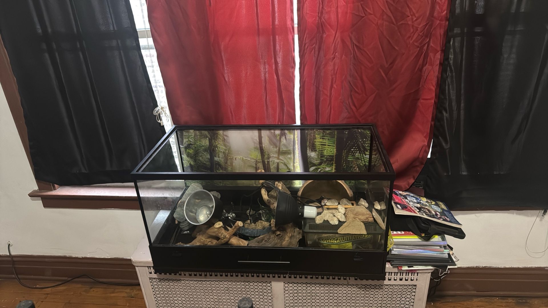 Full Snake Tank