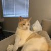 Roberto